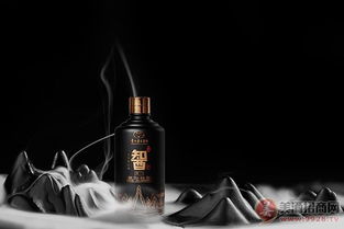 臺(tái)源智酒原一火熱招商中