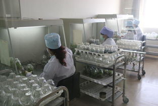 駐馬店地區(qū)考察團(tuán)對(duì)西夏王葡萄酒產(chǎn)品質(zhì)量和市場(chǎng)營(yíng)銷給予了高度評(píng)價(jià)